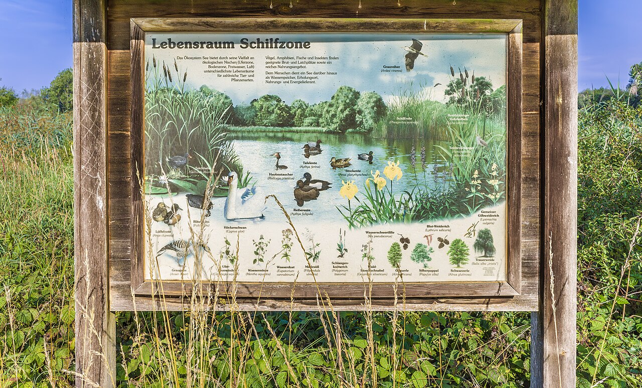 Lebensraum